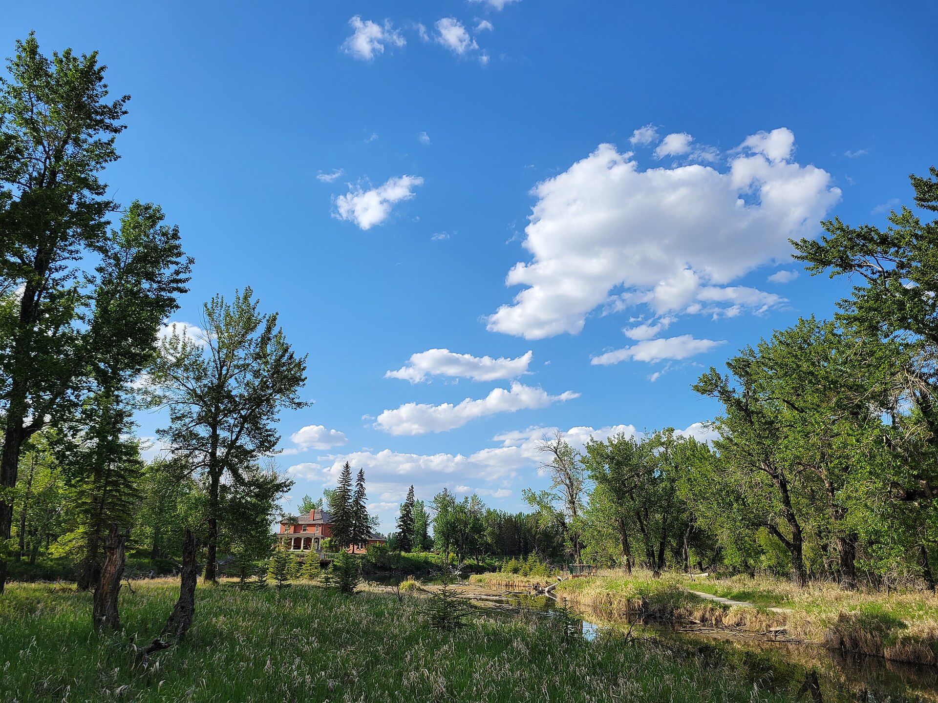 Trees and wetland at Inglewood Bird Sanctuary