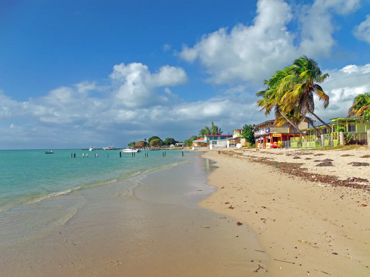 El Combate beach with palms and waterfront buildings