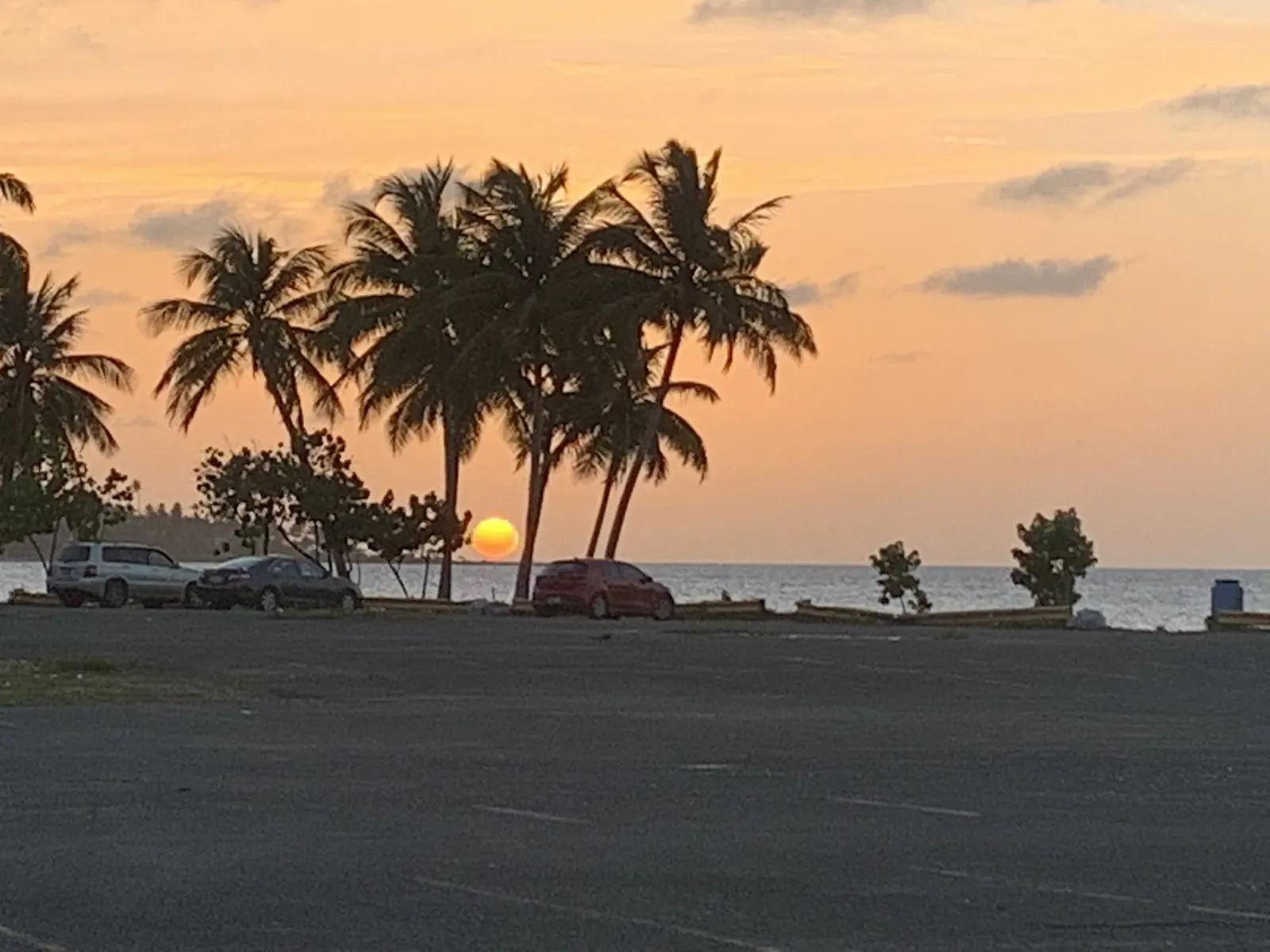 Palm trees and the Dorado coast at sunset