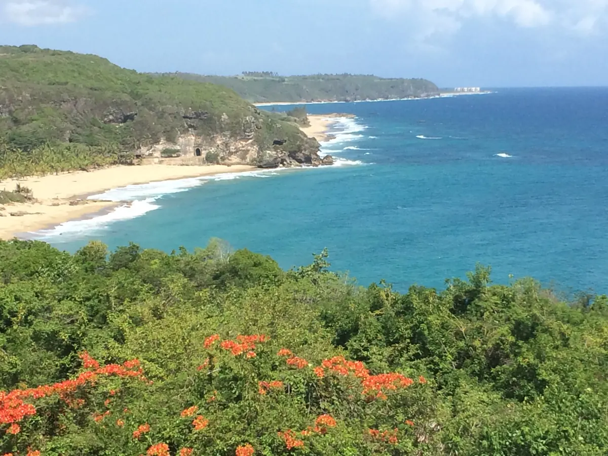 Guajataca coastline and blue bay framed by red flowers
