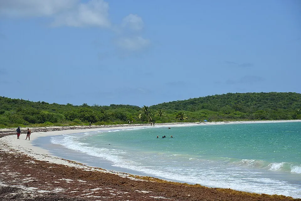 La Chiva · Vieques — Playa La Chiva is a white sand beach with blue-green waters on the island of Vieques, Puerto Rico