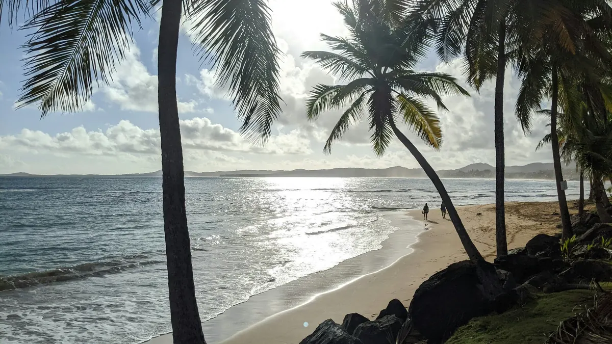 Palm-lined beach and shoreline in Luquillo