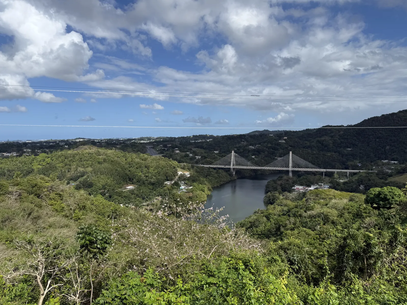 Cable-stayed bridge and green hills viewed from Naranjito