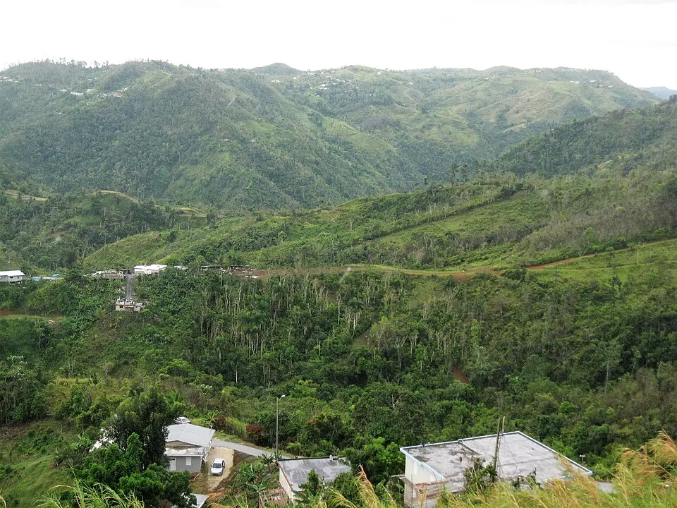 Cordillera Central seen from Orocovis — La Cordillera Central desde el mirador en Orocovis, Puerto Rico