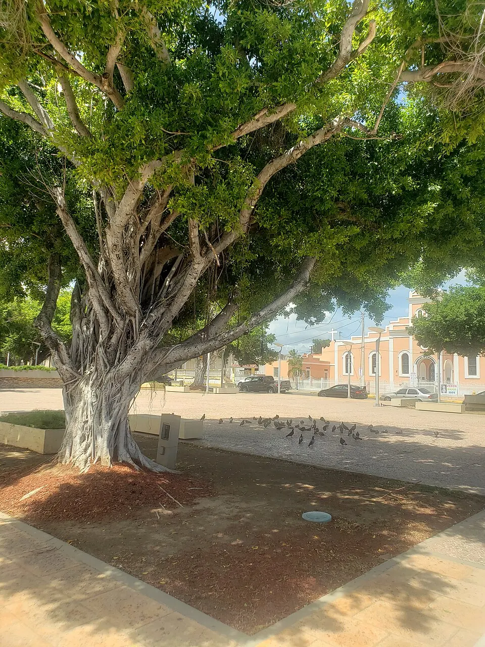 Plaza · Salinas — Plaza in Salinas, Puerto Rico