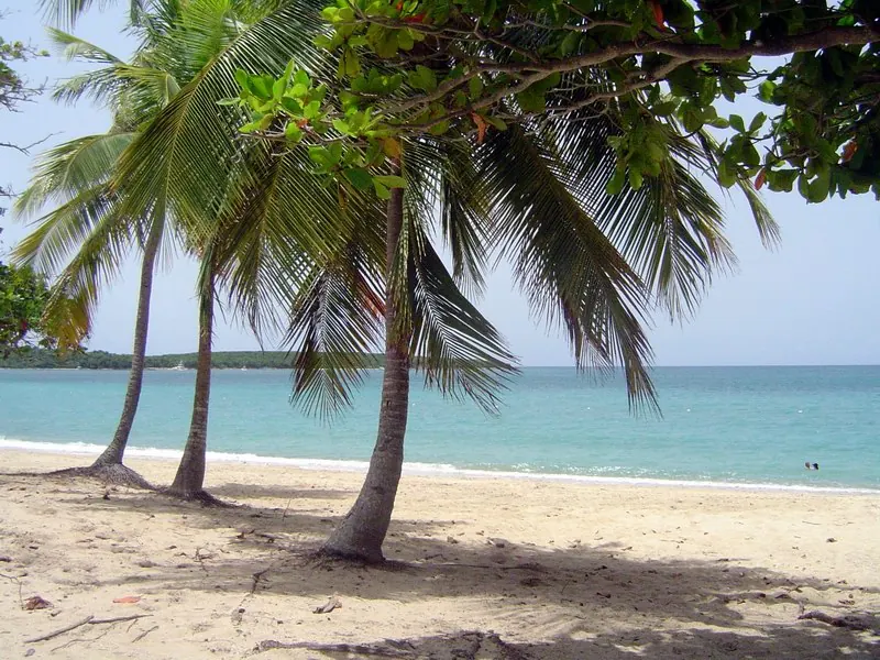 Sun Bay · Vieques — Balneário Sun Bay, Vieques Island, Puerto Rico