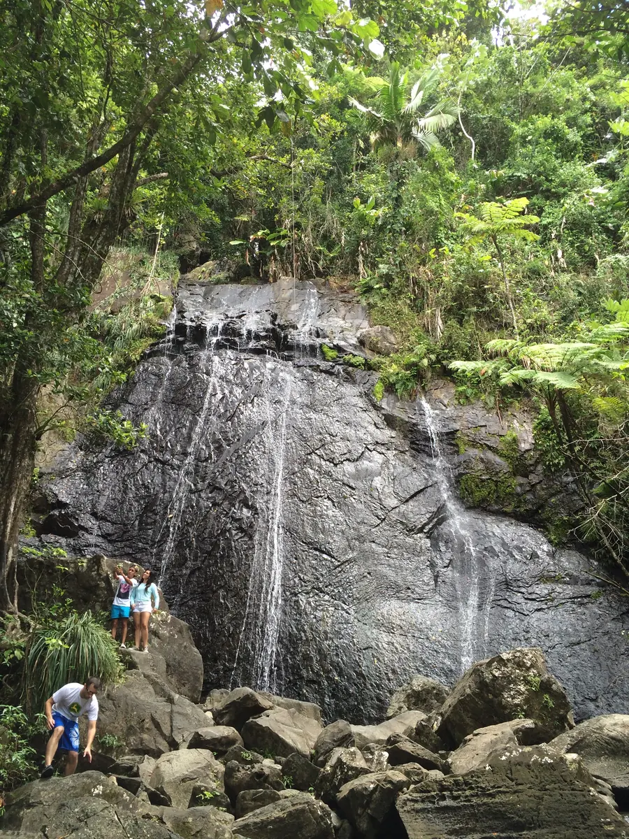 Tall rainforest waterfall with visitors near its base in El Yunque