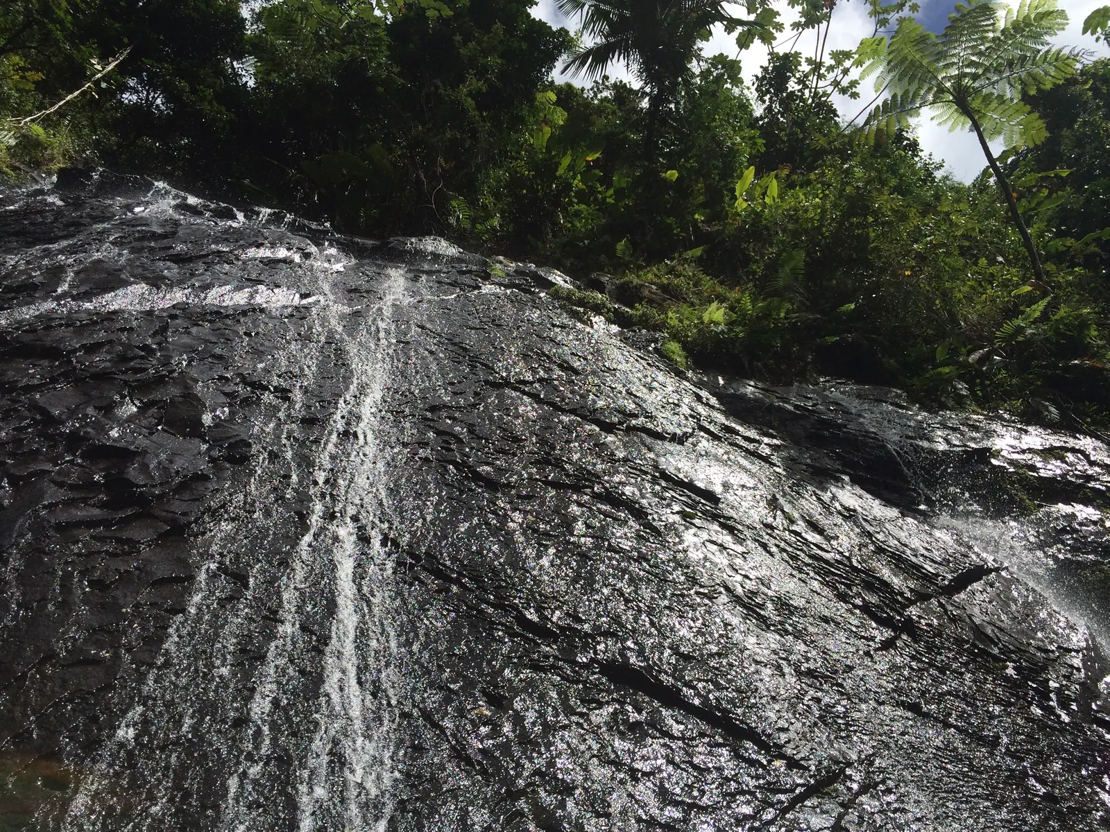 Waterfall descending a rock face in El Yunque rainforest