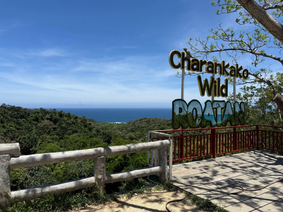 Charankako Wild Roatán sign overlooking green hills and the sea