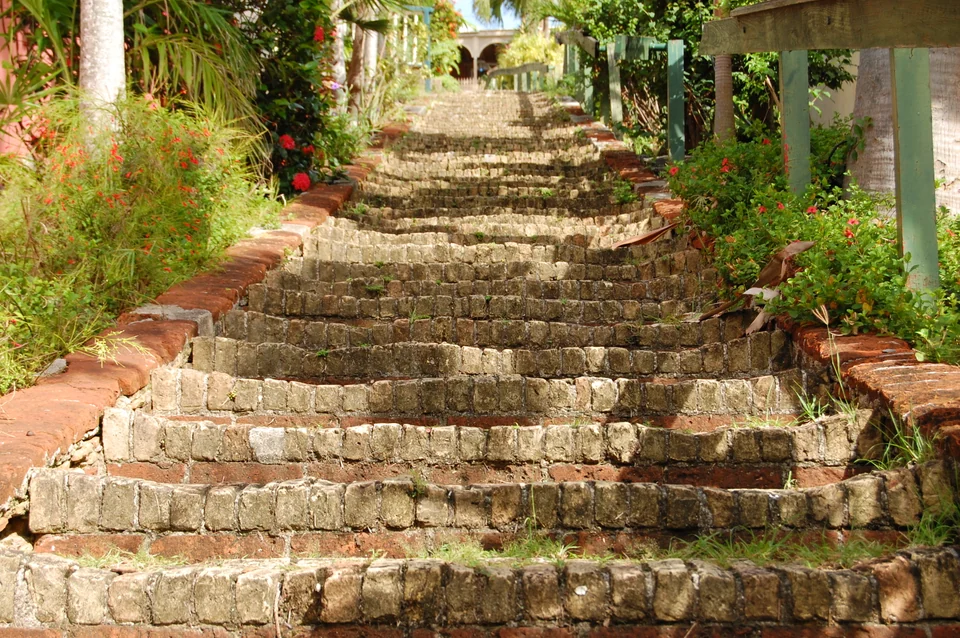Stone steps rising through tropical plants along the 99 Steps in Charlotte Amalie