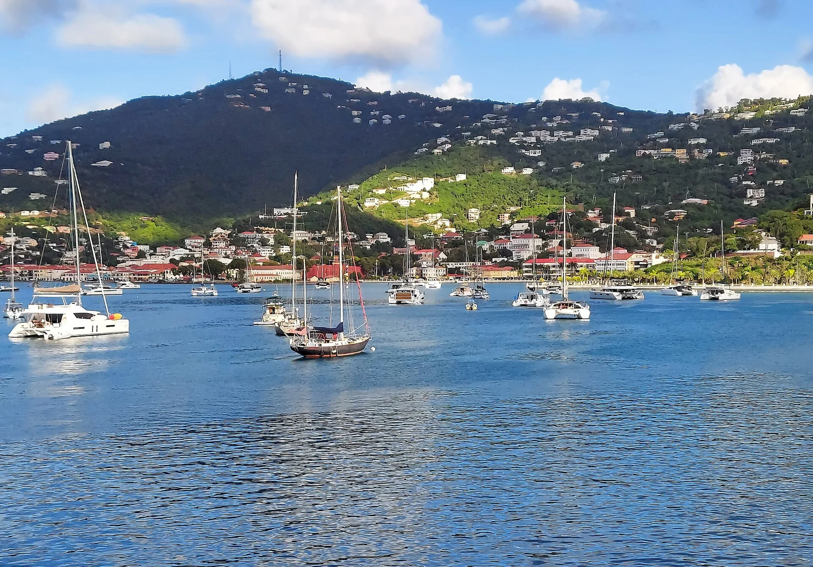 Sailboats in Charlotte Amalie harbour below the green hillside and waterfront buildings