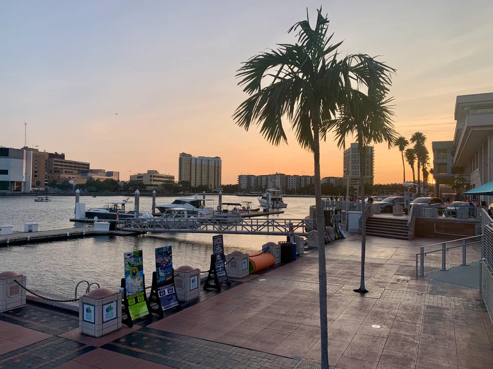 Palm tree, waterfront seating and boats beside The Sail area at sunset